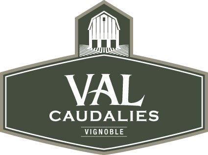 Vignoble Val Caudalies